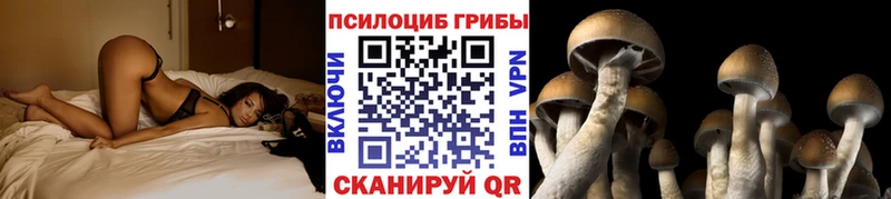 Галлюциногенные грибы мицелий Туран