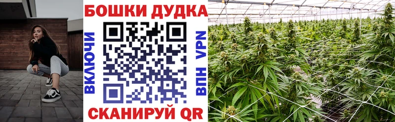 МАРИХУАНА марихуана  где найти   Туран 
